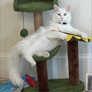 Meet your Posher, Christy